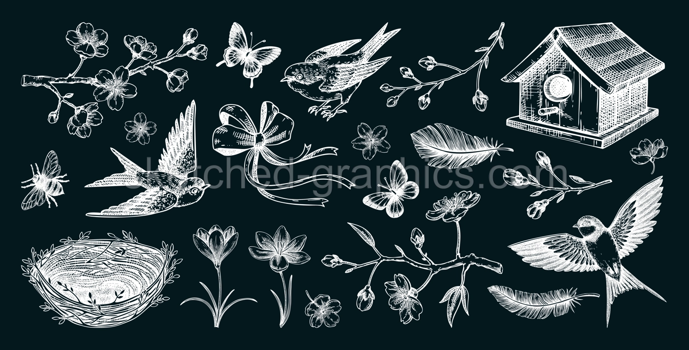 Hand-drawn spring sketches. Flying birds, sakura flowers, bird house, saffron vector illustrations. Easter design elements. Floral chalk drawings. NOT AI generated Illustration